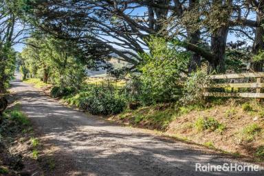 House For Sale - NSW - Robertson - 2577 - Incredible Coastal Views, Pristine Rainforest & Rolling Green Pastures (Image 2)