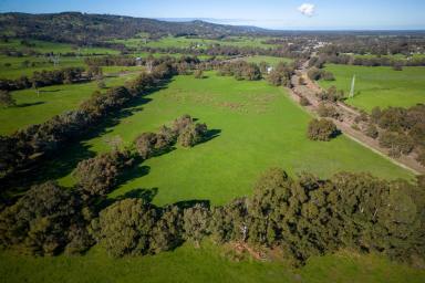 Other (Rural) For Sale - WA - North Dandalup - 6207 - EASY FARMING - 91 acres  (Image 2)