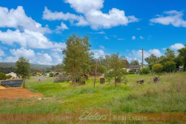 Residential Block For Sale - WA - Donnybrook - 6239 - CONVENIENTLY LOCATED - COUNTRY LIFESTYLE ON OFFER  (Image 2)
