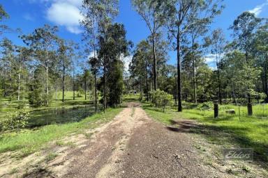 Residential Block For Sale - QLD - Glenwood - 4570 - THE ONE YOU WILL NOT WANT TO MISS!  (Image 2)