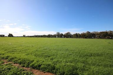 Lifestyle Sold - VIC - Elmore - 3558 - SELLING AS 12 OR 30 ACRES- $775,000/$999,000  (Image 2)