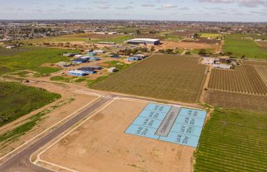 Residential Block For Sale - VIC - Mildura - 3500 - Attention All Developers and Builders!  (Image 2)