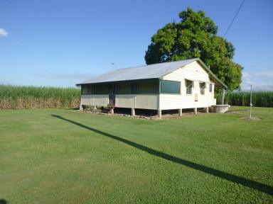 Cropping Sold - QLD - Toobanna - 4850 - QUALITY ESTABLISHED CANE FARM WITH IMPROVEMENTS!  (Image 2)
