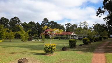 Lifestyle For Sale - QLD - Millstream - 4888 - Amazing Rural retreat  (Image 2)