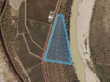 Cropping For Sale - QLD - Millaroo - 4807 - Leasehold Land For Sale  (Image 2)