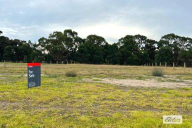 Residential Block For Sale - VIC - Metung - 3904 - Prime Land Prime Location!  (Image 2)