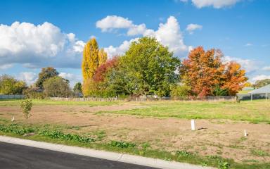 Residential Block For Sale - NSW - Oberon - 2787 - Greenview Estate FINAL STAGE - NOW SELLING  (Image 2)