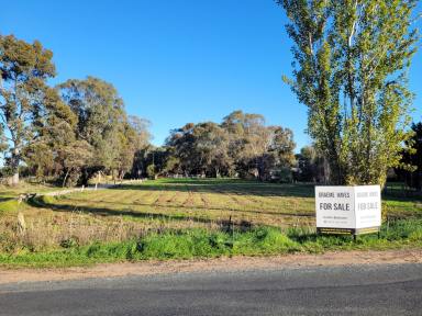 Acreage/Semi-rural For Sale - VIC - Swan Hill - 3585 - Down by the River  (Image 2)