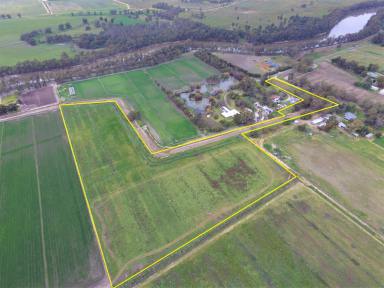 Acreage/Semi-rural For Sale - VIC - Swan Hill - 3585 - Down by the River  (Image 2)