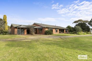House For Sale - VIC - Longford - 3851 - SUBDIVISION POTENTIAL  (Image 2)