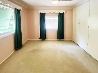 House Leased - NSW - Tamworth - 2340 - Lifestyle A Plenty!  (Image 2)