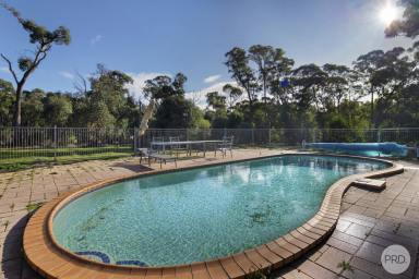 House Sold - VIC - Scarsdale - 3351 - Lifestyle Property Ideal For The Extended Family Just 5 Minutes From Smythesdale  (Image 2)