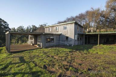 House For Sale - TAS - Natone - 7321 - Tree House On 3 Acres!  (Image 2)