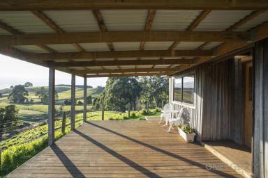 House For Sale - TAS - Natone - 7321 - Tree House On 3 Acres!  (Image 2)