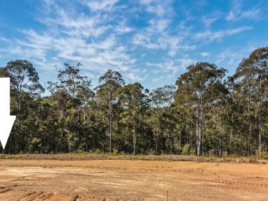 Residential Block For Sale - NSW - North Batemans Bay - 2536 - North Batemans Bay - 3,000sqm  (Image 2)