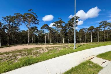 Residential Block For Sale - NSW - North Batemans Bay - 2536 - North Batemans Bay - 3,000sqm  (Image 2)