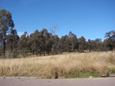 Land/Development Sold - NSW - Muswellbrook - 2333 - VACANT ZONED INDUSTRIAL SITE IN THE MITCHELL LINE INDUSTRIAL ESTATE JUST
5 KM
FROM MUSWELLBROOK  (Image 2)