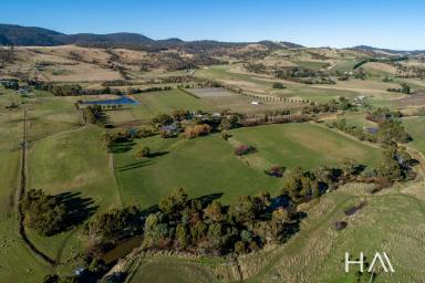 Acreage/Semi-rural Sold - TAS - Campania - 7026 - "Mallow" A Luxury Lifestyle Property and Vineyard in The Coal River Valley  (Image 2)