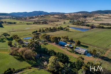 Acreage/Semi-rural Sold - TAS - Campania - 7026 - "Mallow" A Luxury Lifestyle Property and Vineyard in The Coal River Valley  (Image 2)