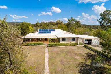 House Sold - QLD - Gunalda - 4570 - YOU CANT BUY BETTER THAN THIS!  (Image 2)