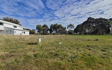 Residential Block For Sale - WA - Kendenup - 6323 - Residential Land Kendenup  (Image 2)