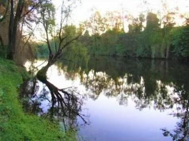 Cropping For Sale - NSW - Casino - 2470 - "RICHMOND RIVER PROPERTY"  (Image 2)