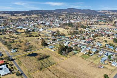 Residential Block Sold - NSW - Tenterfield - 2372 - One Hectare - Two Titles.....  (Image 2)