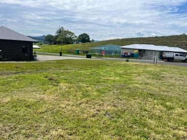 Residential Block For Sale - NSW - Kyogle - 2474 - VACANT BLOCK - PRICE REDUCED  (Image 2)