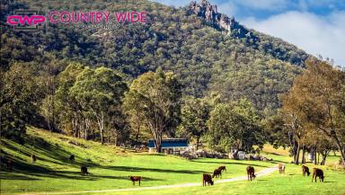 Livestock For Sale - NSW - Tenterfield - 2372 - The Ultimate Tree Change & Tourism Opportunity  (Image 2)