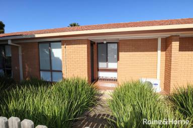 Unit For Lease - NSW - Wagga Wagga - 2650 - CENTRALLY RENOVATED UNIT  (Image 2)