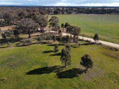 Acreage/Semi-rural For Sale - VIC - Alma - 3465 - Bank Friendly! House and land 4 bed Plus Study 2 bath 2 living qual const approx 4.663 Acres with town water and town power 8.3Klms to Maryborough  (Image 2)