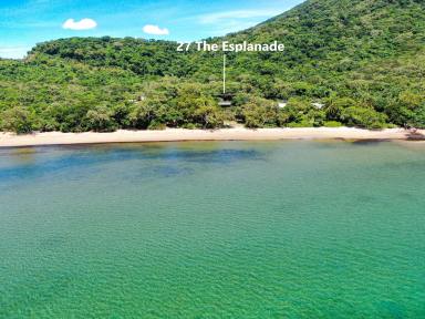 House For Sale - QLD - Cooktown - 4895 - Beachfront Dream Home!!  (Image 2)