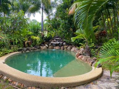 House For Sale - QLD - Cooktown - 4895 - Lifestyle, Business or Development Opportunity  (Image 2)