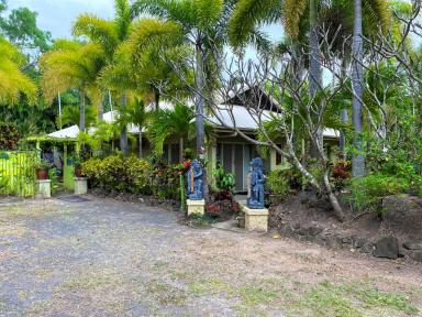 House For Sale - QLD - Cooktown - 4895 - Lifestyle, Business or Development Opportunity  (Image 2)