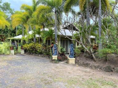 House For Sale - QLD - Cooktown - 4895 - Lifestyle, Business or Development Opportunity  (Image 2)