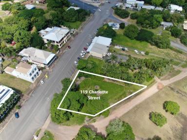 Residential Block For Sale - QLD - Cooktown - 4895 - Centre Zoning Land on Corner  (Image 2)