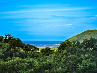 Residential Block For Sale - QLD - Cooktown - 4895 - Elevated Bush Block With Views  (Image 2)