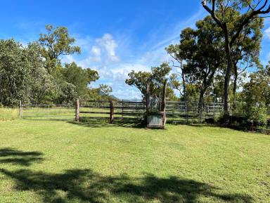 Acreage/Semi-rural For Sale - QLD - Cooktown - 4895 - Dream Rural Property  (Image 2)