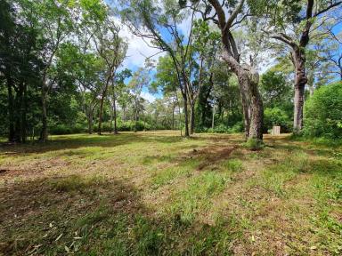 Other (Rural) Sold - QLD - Cooktown - 4895 - 560 acres of Cape York Wilderness  (Image 2)