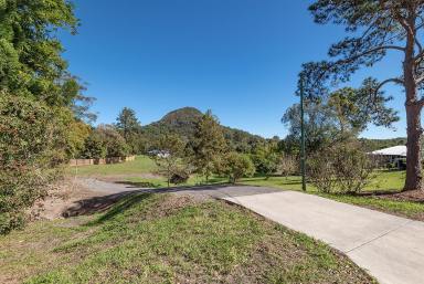 Residential Block Sold - QLD - Cooran - 4569 - One Acre in Town with Impressive Views  (Image 2)
