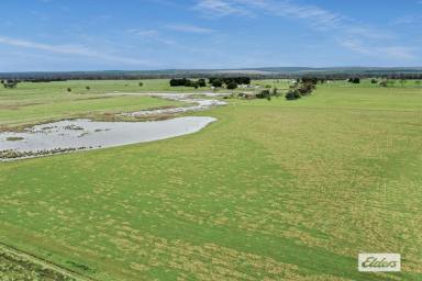 Other (Rural) For Sale - VIC - Kilmany - 3851 - PLENTY OF OPTIONS  (Image 2)