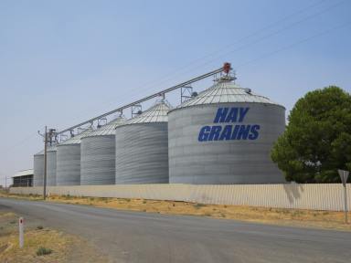 Commercial Farming Expressions of Interest - NSW - Hay - 2711 - 'Hay Grains' Ideally located in the Riverina's irrigation and cropping district  (Image 2)