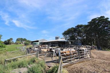 Acreage/Semi-rural For Sale - VIC - Mount Eccles - 3953 - DAIRY FARMING OPPORTUNITY  (Image 2)