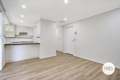 House For Lease - NSW - Hamilton Valley - 2641 - FAMILY FRIENDLY HOME!  (Image 2)