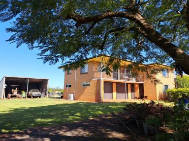 Acreage/Semi-rural For Sale - QLD - Gregory River - 4660 - 2 Incomes on one property, 2000 trees in orchard + a nursery with room for 16,000 trees all set up with own irrigation with a 2 Story 4 brm brick hom  (Image 2)