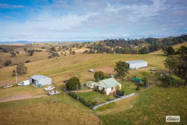 Acreage/Semi-rural For Sale - NSW - Buckajo - 2550 - LARGE BEGA GRAZING PROPERTY  (Image 2)