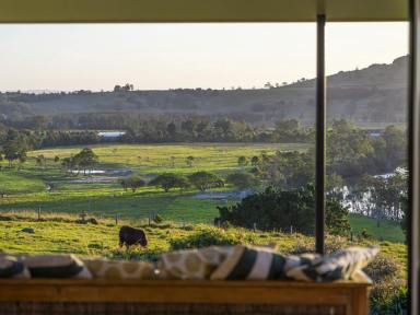 Acreage/Semi-rural Sold - NSW - Monaltrie - 2480 - Stunning Architecturally Designed Sustainable Home on 90 Acres  (Image 2)