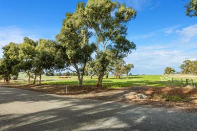 Residential Block Sold - WA - Ginginup - 6503 - LAND AHOY, OWNER SAYS SELL!  (Image 2)
