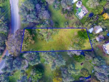 Residential Block For Sale - VIC - Sandy Point - 3959 - Private park like block  (Image 2)