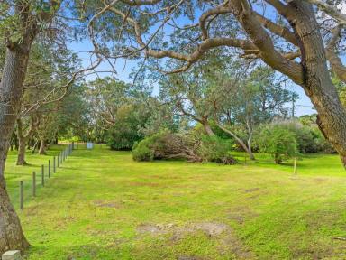 Residential Block For Sale - VIC - Sandy Point - 3959 - Private park like block  (Image 2)